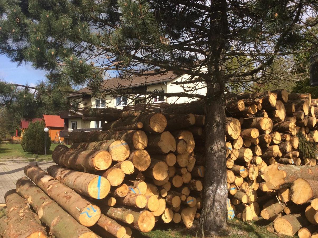 Ferienwohnung Harzblick 2 Braunlage Εξωτερικό φωτογραφία